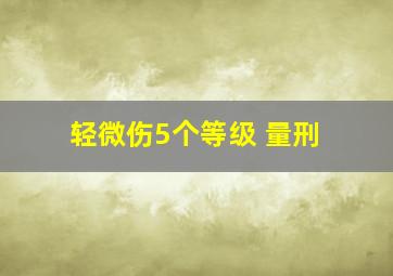 轻微伤5个等级 量刑